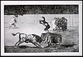 Goya. Tauromaquia 19.jpg